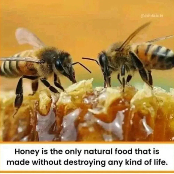 🆕J. Crew Heart Statement Earrings - Picture 9 of 12